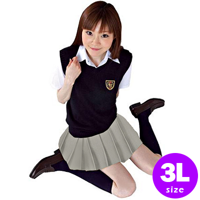 ˥٥Ȥβƻ顼3L󣱣