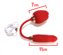 ���Υ������Ǥ���