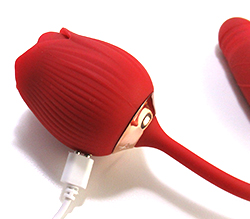 �۰��Ĥܤߤ˥ޥ��ͥåȤ򥻥åȤ��ƽ��Ť��ޤ���