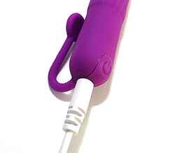 ���ż��Ǥ���